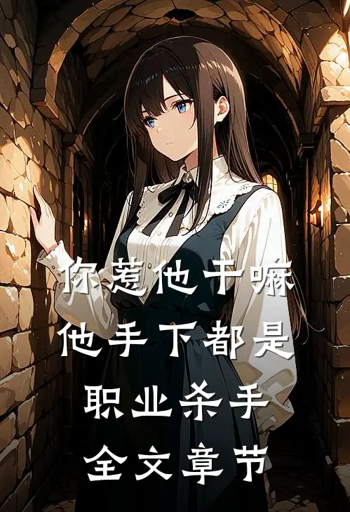 你惹他干嘛,他手下都是职业杀手全文章节免费阅读