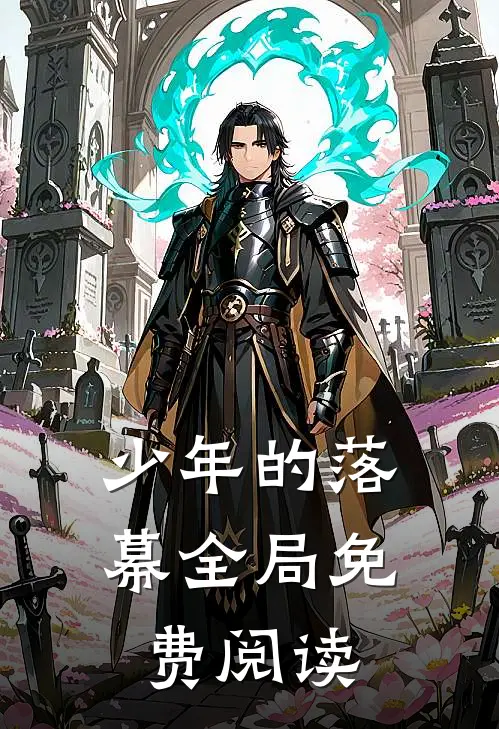 少年的落幕全局免费阅读