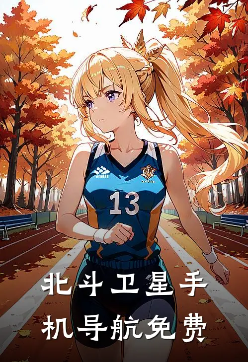 北斗卫星手机导航免费