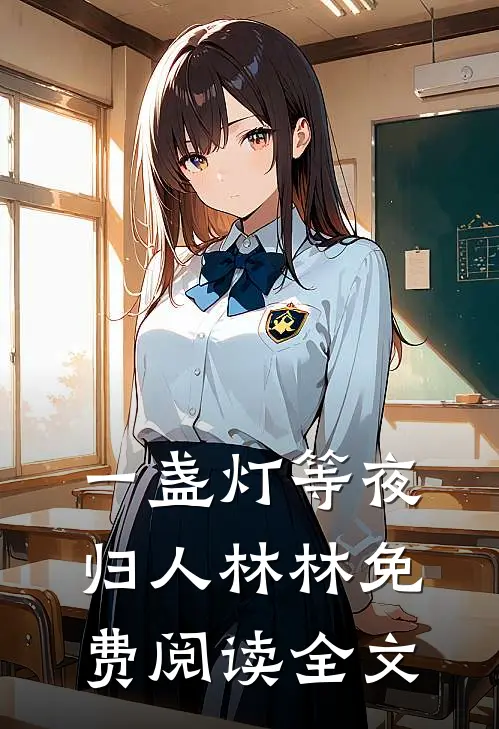 一盏灯等夜归人林林免费阅读全文