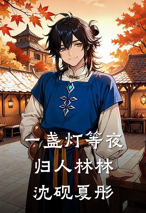 一盏灯等夜归人林林沈砚夏彤