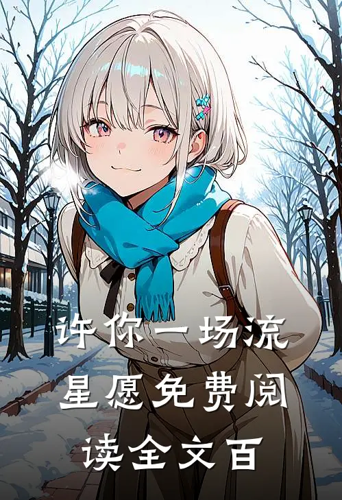 许你一场流星愿免费阅读全文百