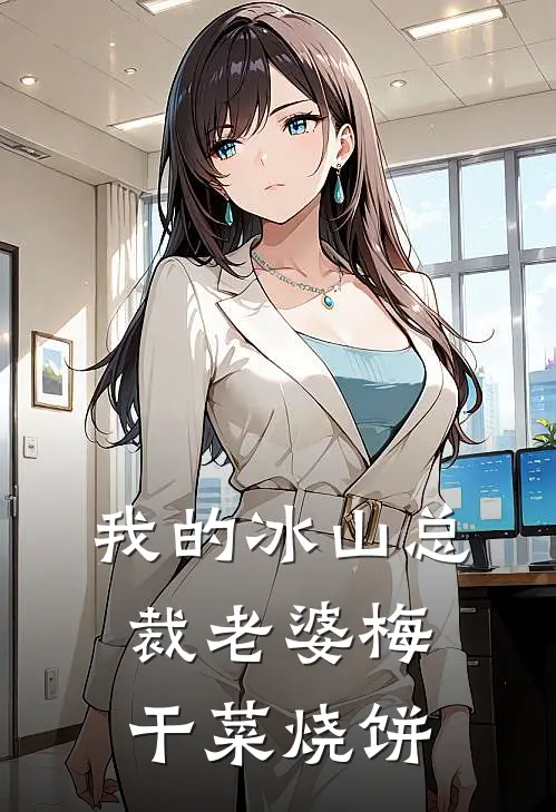 我的冰山总裁老婆梅干菜烧饼