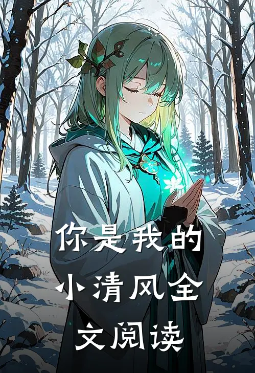 你是我的小清风全文阅读