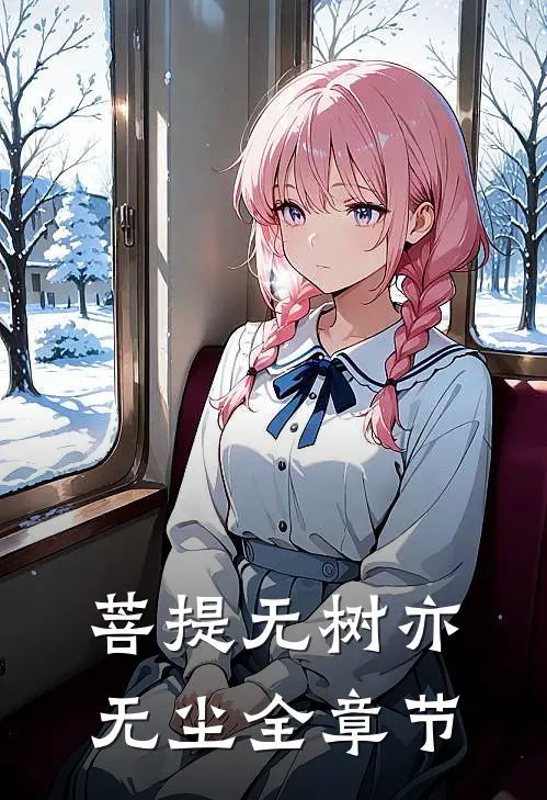 菩提无树亦无尘全章节