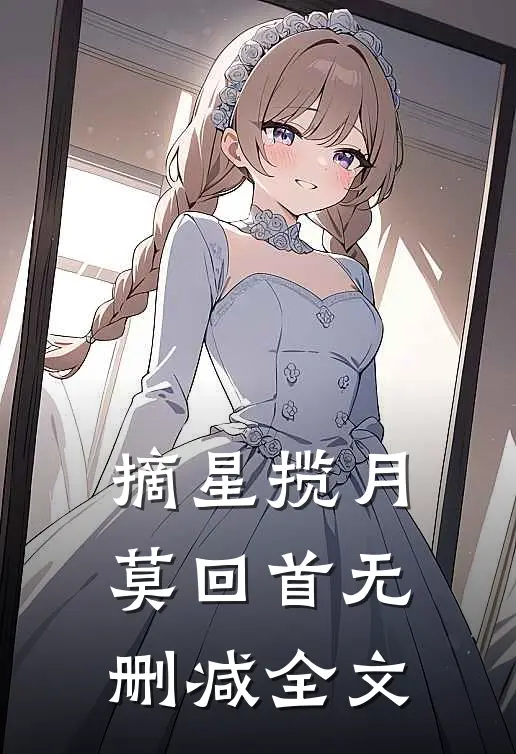 摘星揽月莫回首无删减全文