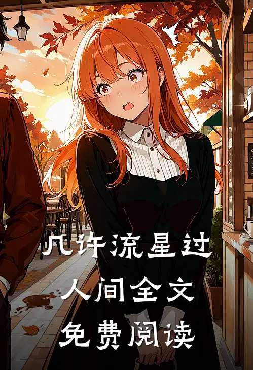 几许流星过人间全文免费阅读