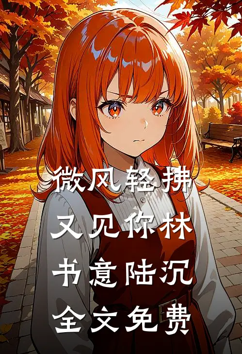 微风轻拂又见你林书意陆沉全文免费