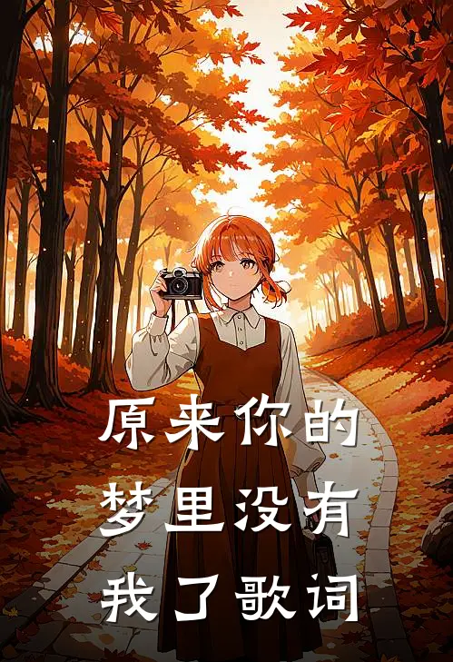 原来你的梦里没有我了歌词
