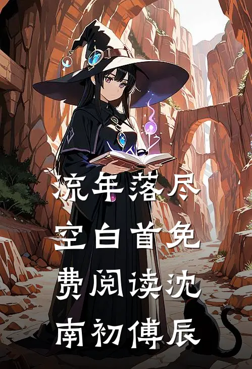 流年落尽空白首免费阅读沈南初傅辰