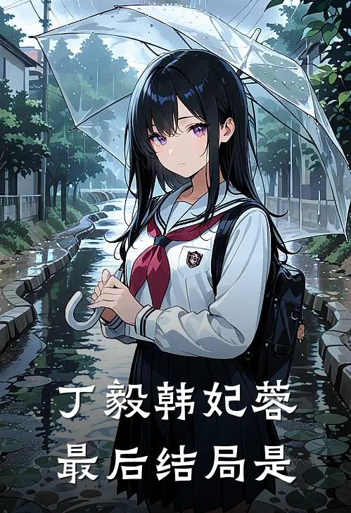 丁毅韩妃蓉最后结局是