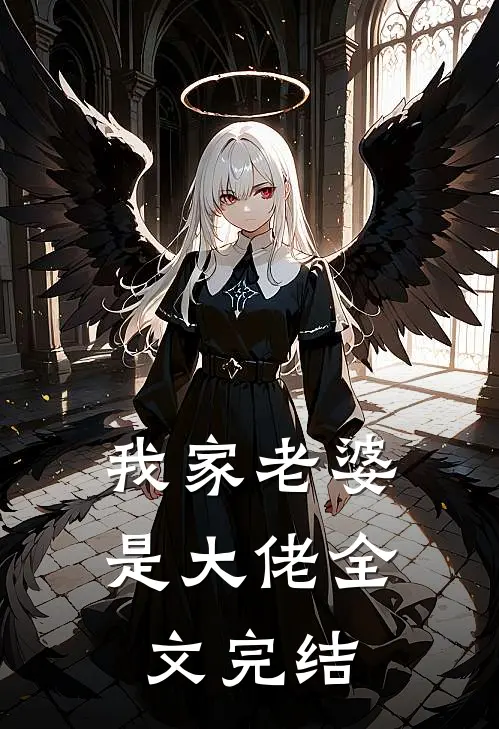 我家老婆是大佬全文完结