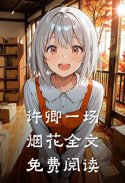 许卿一场烟花全文免费阅读
