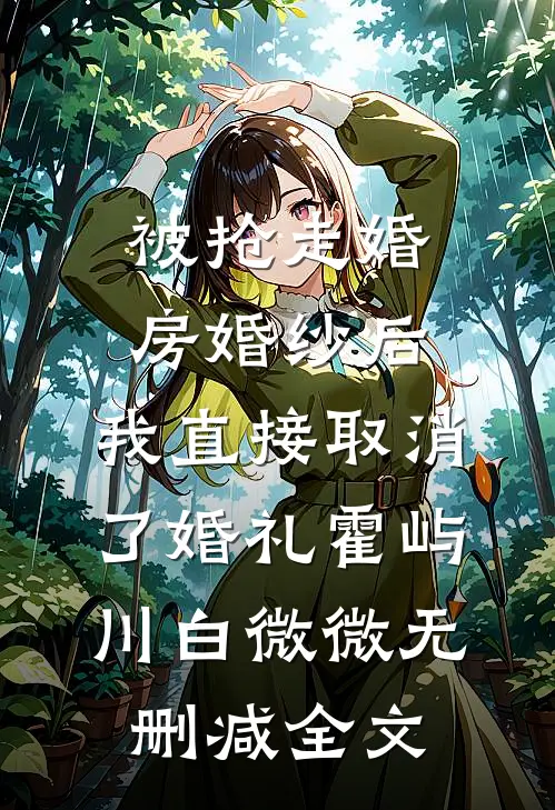 被抢走婚房婚纱后，我直接取消了婚礼霍屿川白微微无删减全文