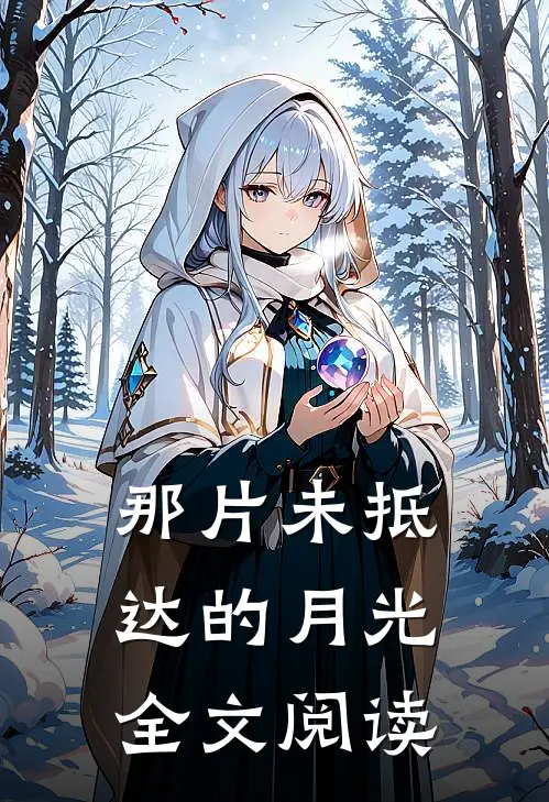 那片未抵达的月光全文阅读