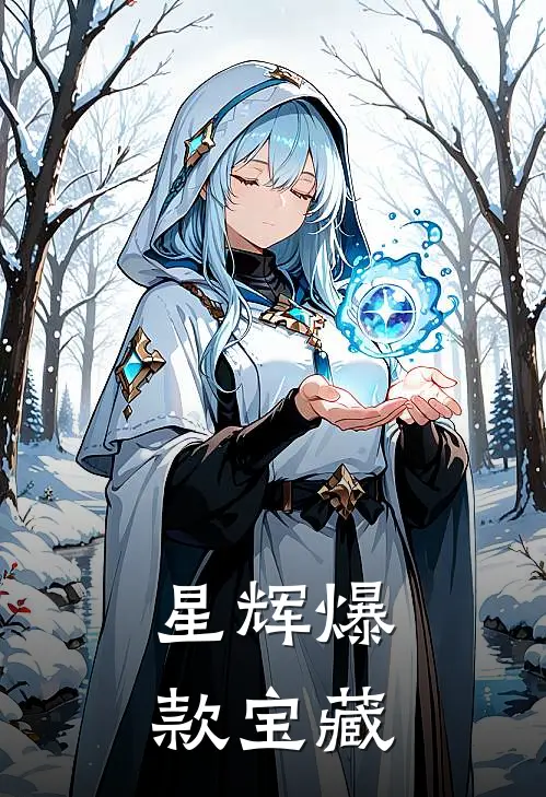 星辉爆款宝藏