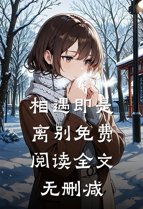 相遇即是离别免费阅读全文无删减