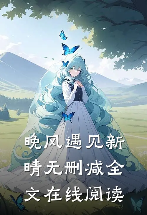 晚风遇见新晴无删减全文在线阅读