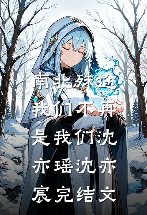 南北殊途，我们不再是我们沈亦瑶沈亦宸完结文