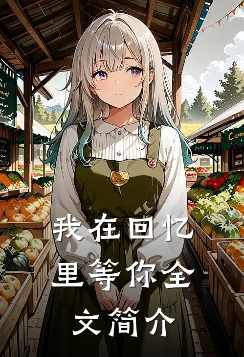 我在回忆里等你全文简介
