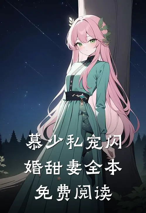 慕少私宠闪婚甜妻全本免费阅读