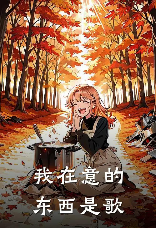 我在意的东西是歌