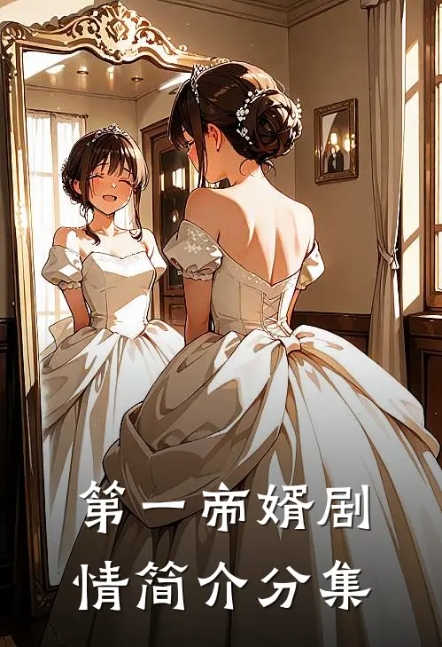 第一帝婿剧情简介分集