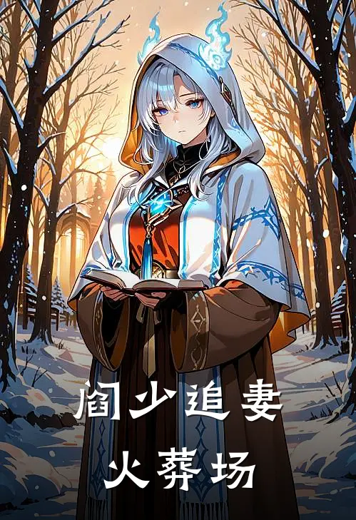 阎少追妻火葬场