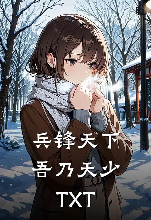 兵锋天下吾乃天少TXT