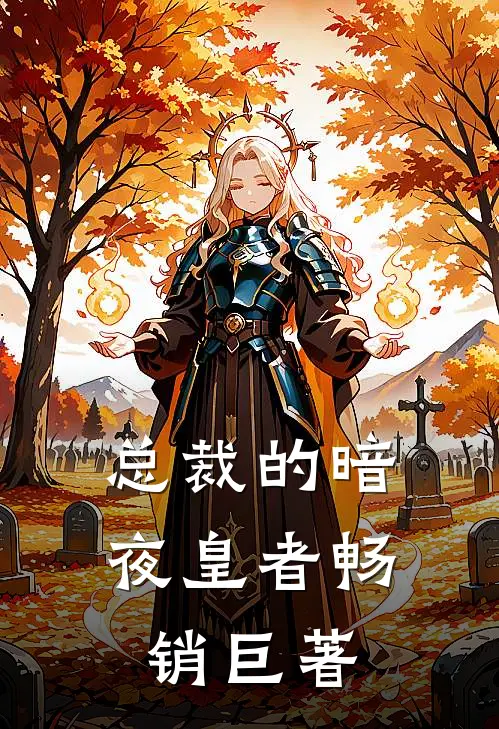 总裁的暗夜皇者畅销巨著