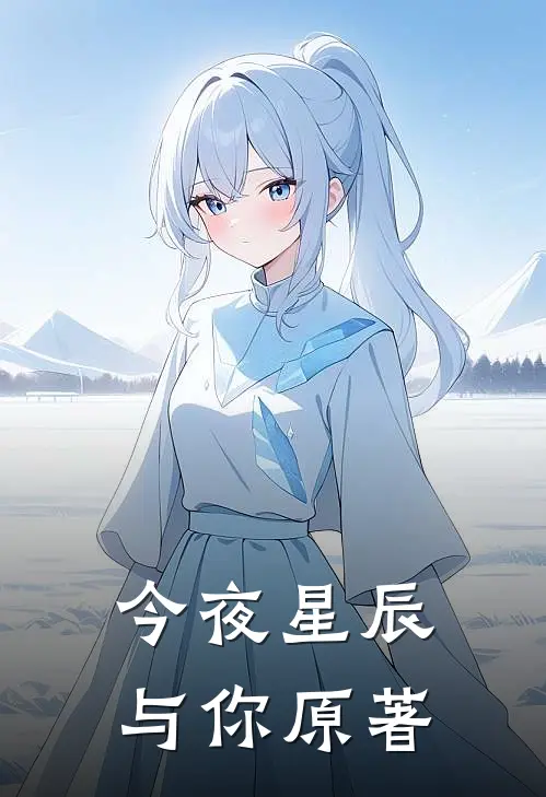 今夜星辰与你原著