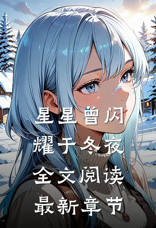 星星曾闪耀于冬夜全文阅读最新章节