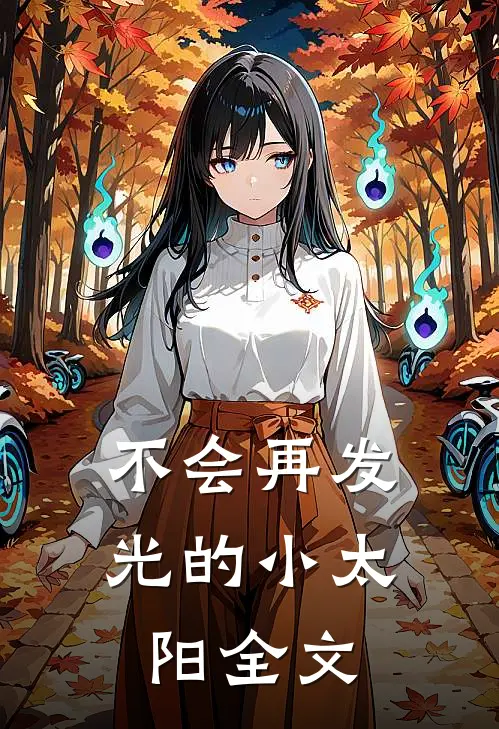 不会再发光的小太阳全文