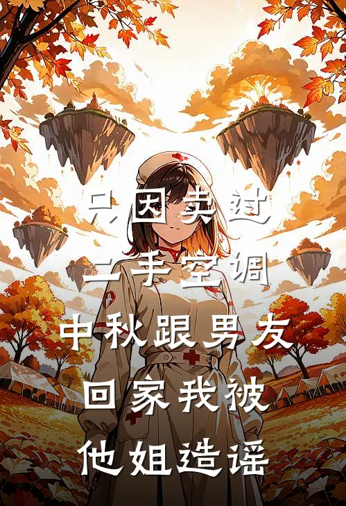 只因卖过二手空调，中秋跟男友回家我被他姐造谣