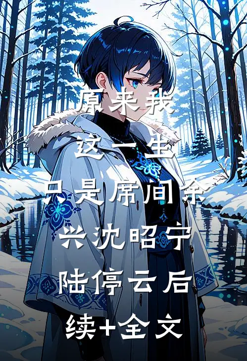 原来我这一生，只是席间余兴沈昭宁陆停云后续+全文