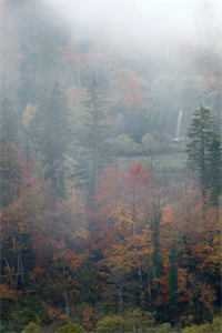 誓不为妾，世子爷的绝世恩宠质量好文