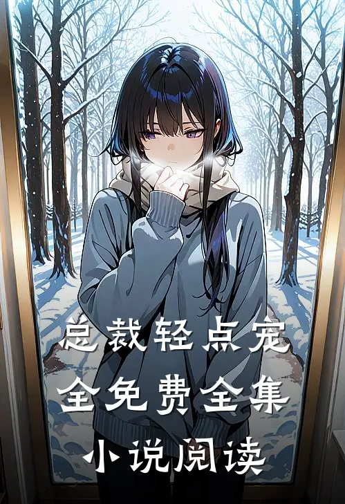 总裁轻点宠全免费全集小说阅读