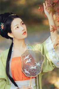 白露枝头复往春小说免费