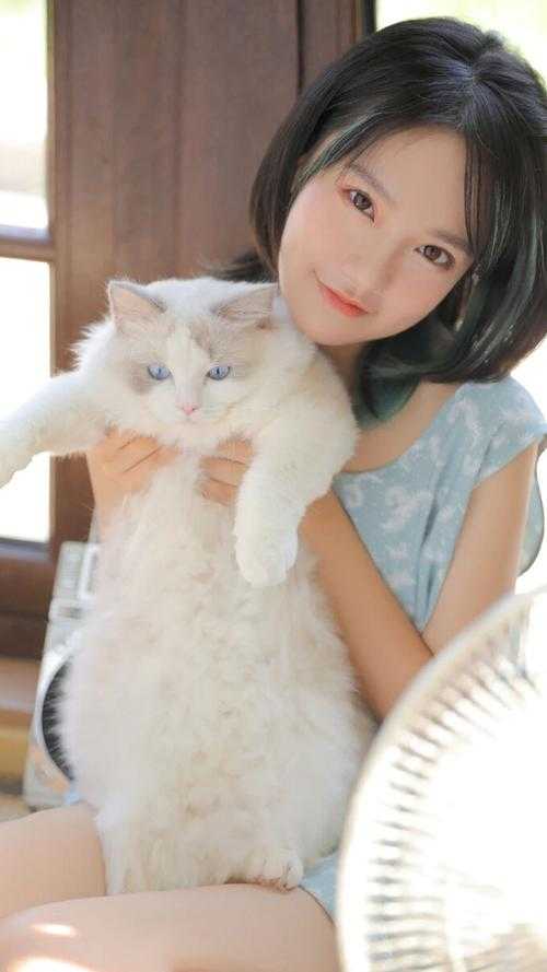 不再许你春朝完本