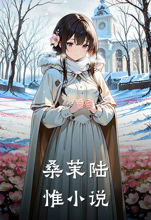桑茉陆惟小说