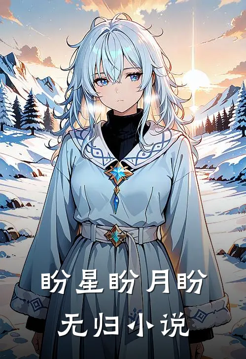 盼星盼月盼无归小说