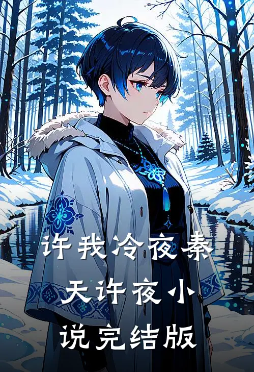 许我冷夜秦天许夜小说完结版
