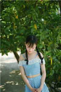 雾起北城忆旧年小说免费阅读