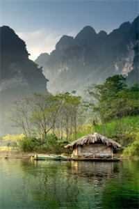 凤凰男的决心精品推荐