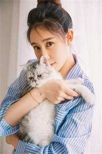 清风不渡相思人必读文