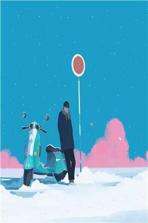 雪落无声覆白头无删版