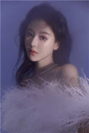 雪落无声覆白头的小说