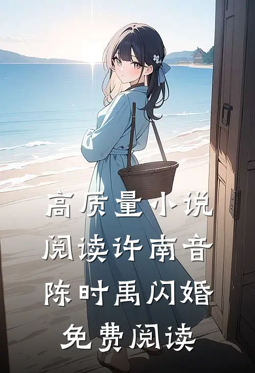 高质量小说阅读许南音陈时禹闪婚免费阅读