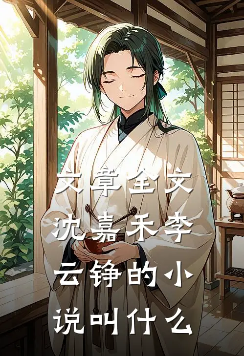 文章全文沈嘉禾李云铮的小说叫什么