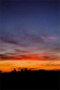 昨夜星辰昨夜风人气小说